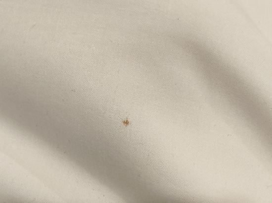 新加坡81飯店 - 梧槽優惠