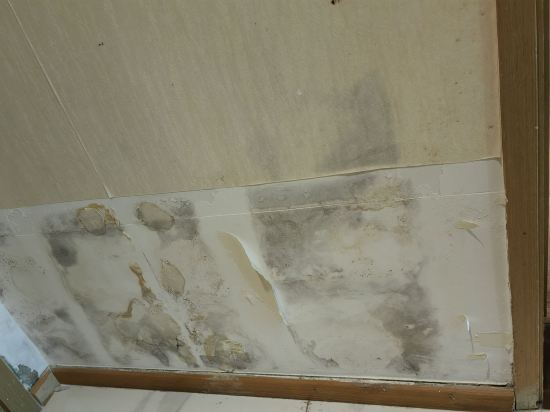 温斯頓公寓（佛山華僑城歡樂海岸Plus店）優惠