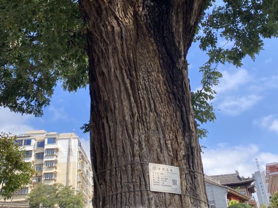 蘭州民航招待所優惠