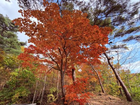 Hotel & Spa センチュリーマリーナ函館 クーポン