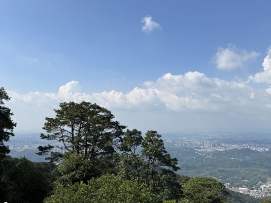 深圳北站王牌國際飯店優惠