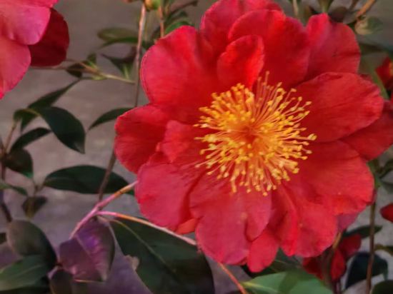 西湖竹澗憶塘民宿優惠