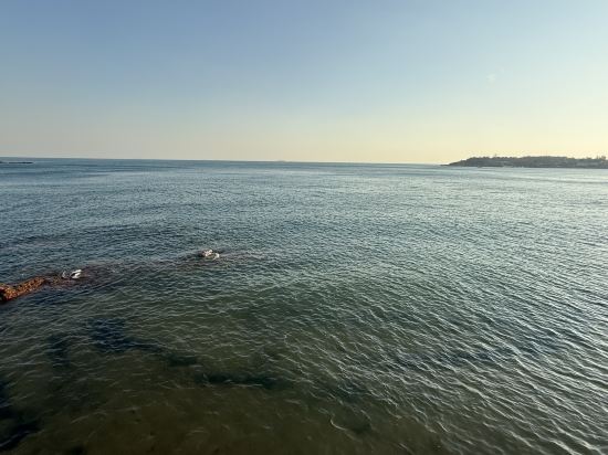 青島海天大酒店優惠
