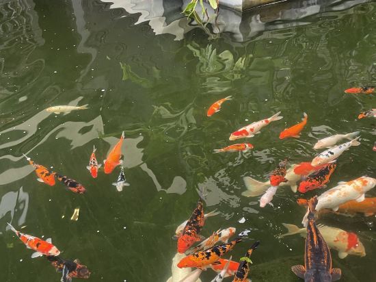 新山普萊泉度假村優惠