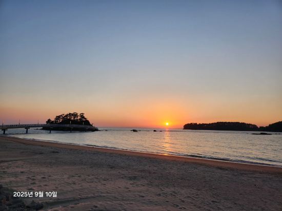 비체 팰리스 쿠폰