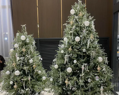 Daejeon Yuseong Hotel Anon Photos
