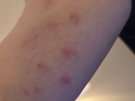 多倫多萬錦麗柏酒店優惠