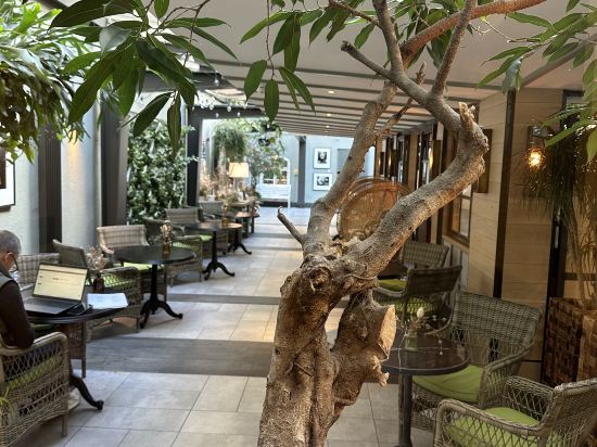 夏洛特廣場金普頓酒店 - IHG 旗下酒店優惠