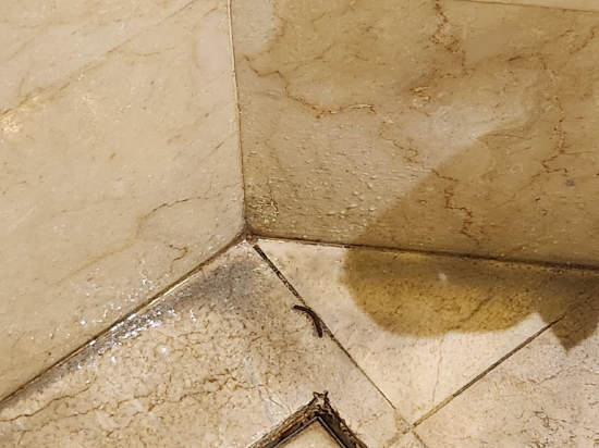 諾偉司吉里度假酒店及水療中心優惠