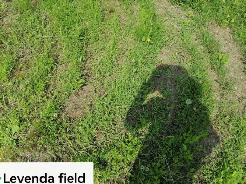 ハイランドふらの クーポン