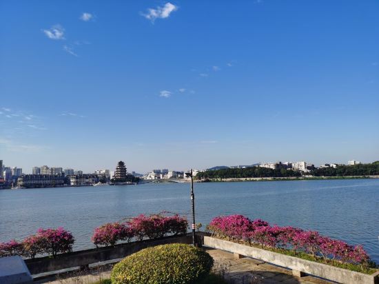 惠州富力萬麗酒店優惠