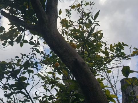 大理實力希爾頓酒店優惠