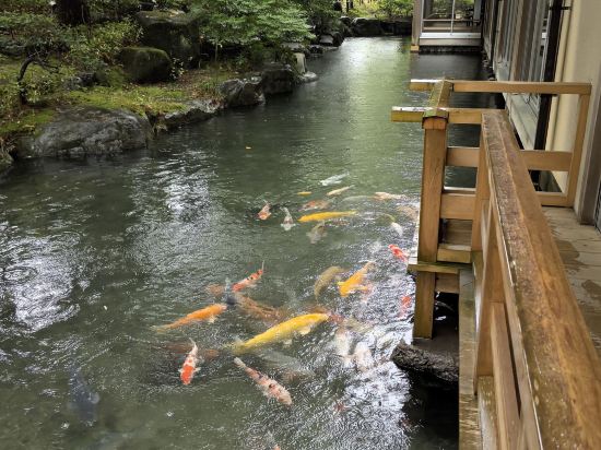 下呂温泉 水明館 クーポン