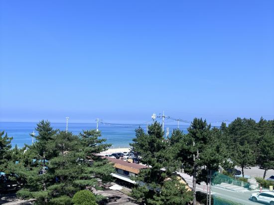 베니키아 호텔 산과바다 주문진 리조트 쿠폰