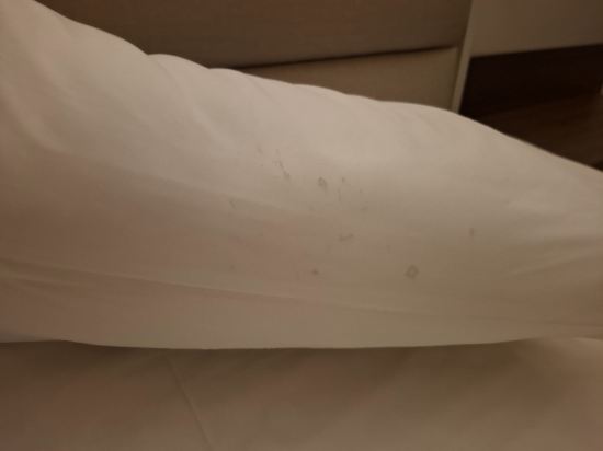 希迪特酒店優惠