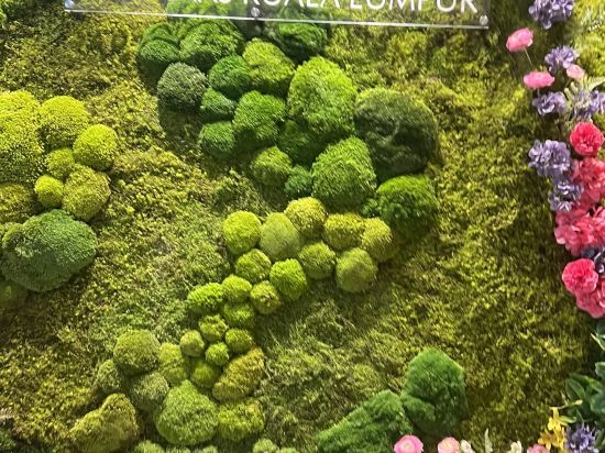 吉隆坡哈達馬斯帝盛酒店優惠