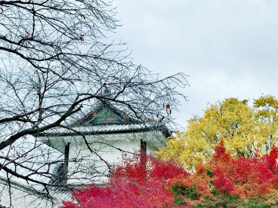 UNIZO旅館-金澤百萬石通優惠