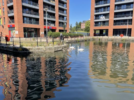 加帝夫灣智選假日酒店優惠