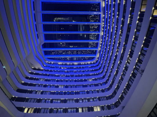 阿姆斯特丹史基浦機場希爾頓酒店優惠