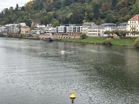 凱瑟霍夫城中心美居酒店優惠
