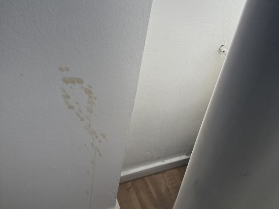 法蘭克福內陸諾富姆飯店優惠