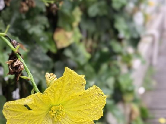 南京維元國際酒店優惠