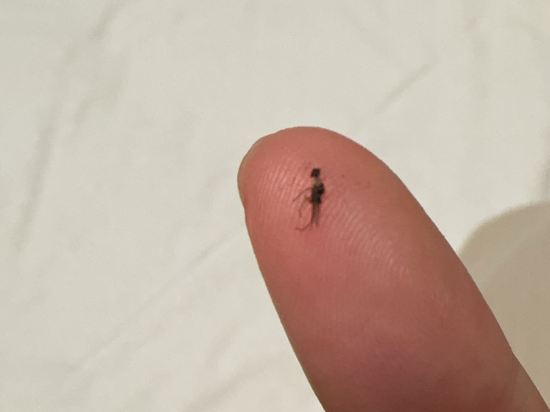 山荘天水 クーポン