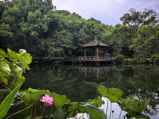 浙江西子賓館·汪莊·西湖名園優惠