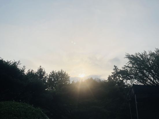 中濠悅際飯店（深圳前海店）優惠