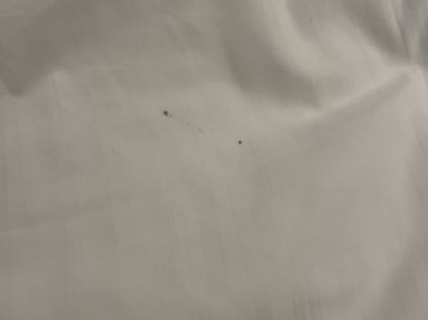 香港百樂酒店優惠