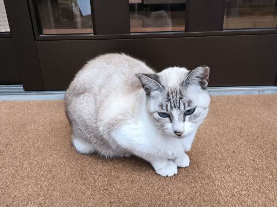 財宝健康保養センター　薩摩明治村 クーポン