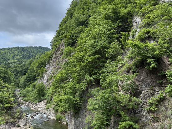 定山渓ビューホテル クーポン