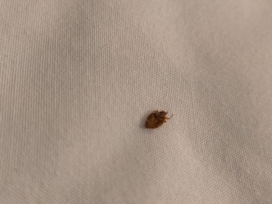 曼谷斯佩克飯店優惠