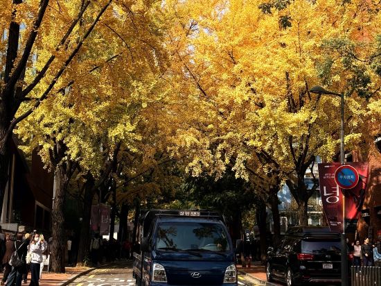 首爾九老區福朋喜來登飯店優惠