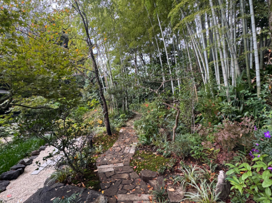 鶴巻温泉 元湯陣屋 クーポン