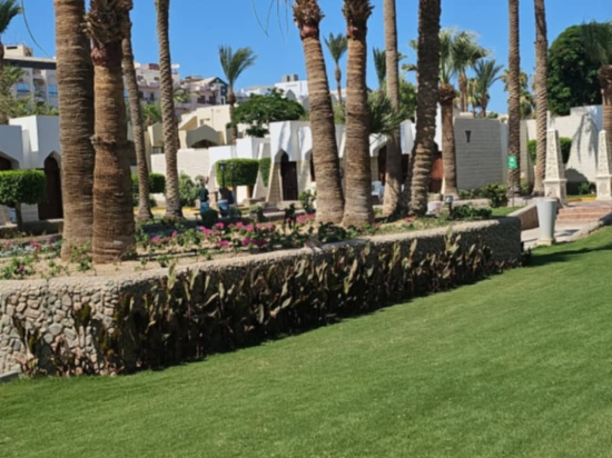 ZYA赫爾格達雷吉娜水上公園度假村優惠