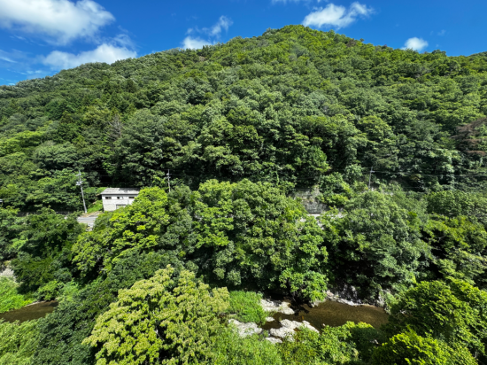 新樺川観光ホテル クーポン