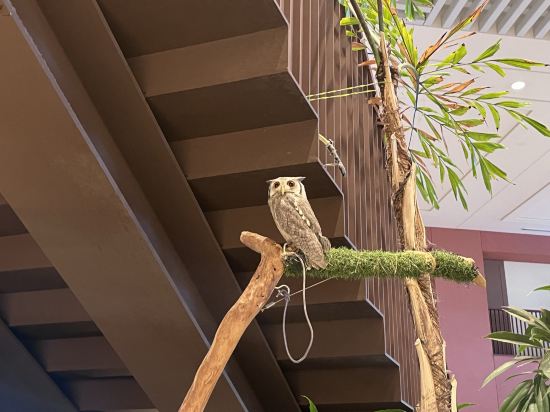 ザ・ビーチタワー沖縄 クーポン