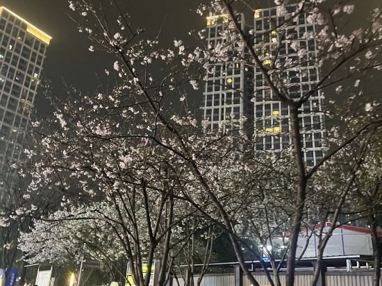 羅斯福服務公寓（重慶解放碑洪崖洞店）優惠