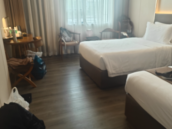 白天鵝迎賓館（肇慶湖濱店）優惠