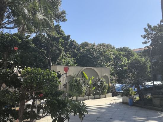 鼓浪嶼柏文熊飯店（三丘田碼頭店）優惠