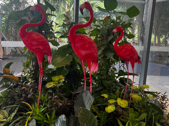 富國翡翠灣高級公寓-雅高集團管理優惠