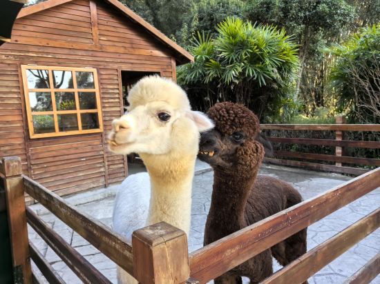 陽朔悦榕莊優惠