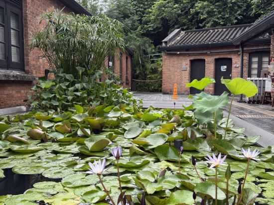 香港文化旅館-翠雅山房優惠