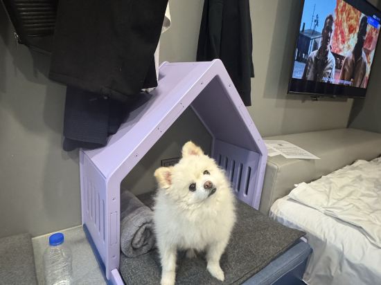 호텔 카푸치노 쿠폰