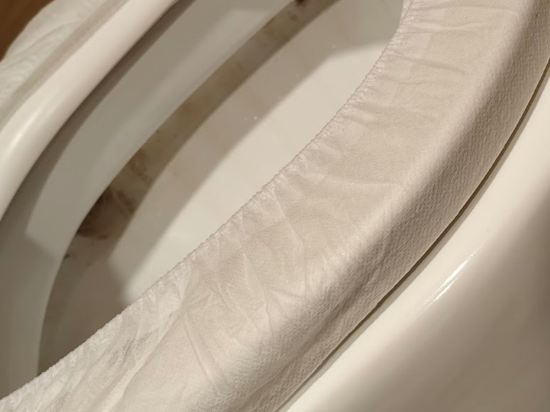 芙蓉棕櫚酒店優惠