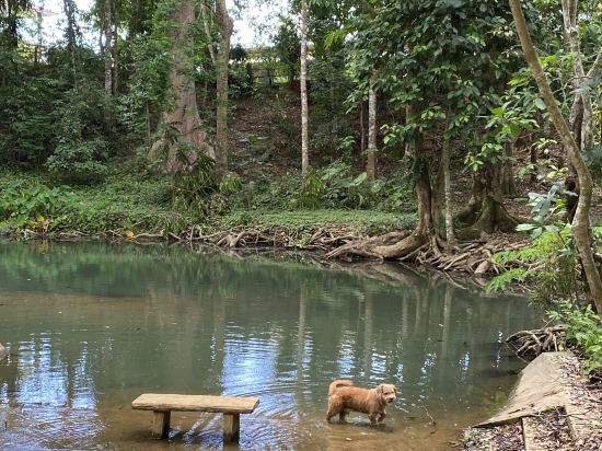 特瓦谷度假村優惠