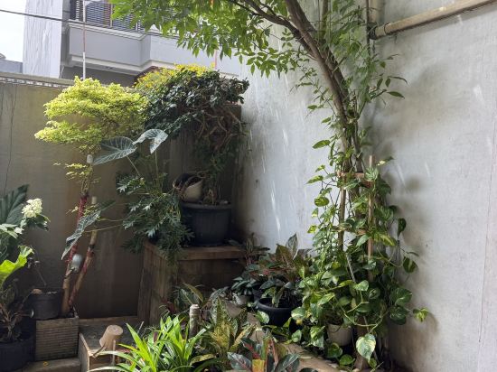 帕薩巴魯元園飯店優惠