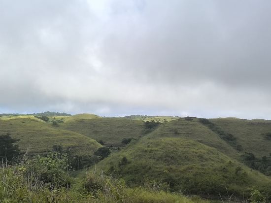 ベッセルイン札幌中島公園 クーポン