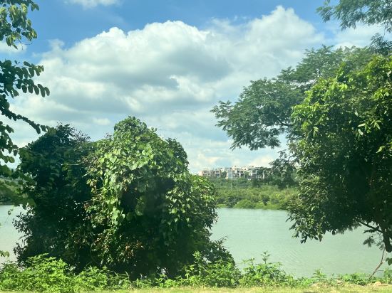 廣州從化明月山溪水之源泳池温泉別墅優惠